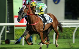 Joao Moreira partners Blaze Warrior to victory at Sha Tin on Sunday. Photos: Kenneth Chan