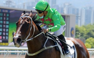 Matthew Poon takes a peak at the big screen as Super Fortune coasts to victory on debut. Photo: Kenneth Chan