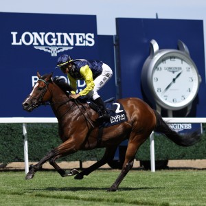 Jerry Chau Chun-lok guides Tuco Salamanca to success in the Shergar Cup Dash. Photo: Handout