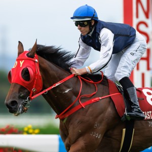 Fast Network and Damian Lane cross the line at Hanshin. Photo: Handout
