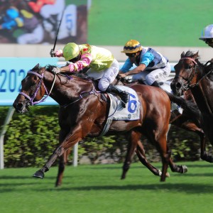 Matthew Chadwick guides Sing Dragon to an upset victory at Sha Tin. Photos: Kenneth Chan