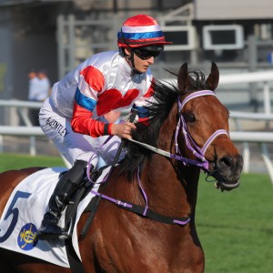 Devas Twelve and Harry Bentley score at Sha Tin. Photos: Kenneth Chan
