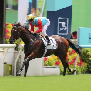 Ka Ying Rising scores an explosive first-up win under Zac Purton. Photos: Kenneth Chan