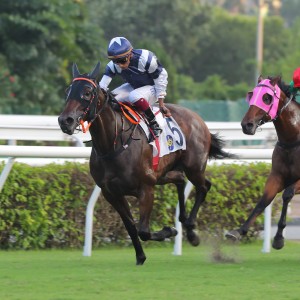 Lucy In The Sky wins at Sha Tin in 2024. Photos: Kenneth Chan