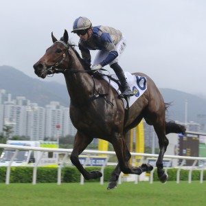 Jedi Spurs romps home at Sha Tin in June. Photos: Kenneth Chan