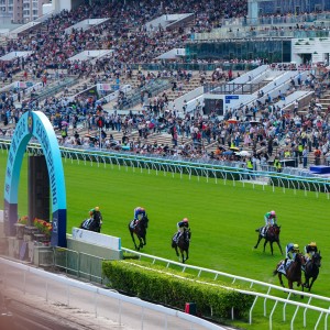 Sunday’s Sha Tin race meeting has been cancelled. Photo: Sam Tsang
