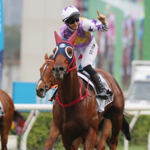 Stormy Grove wins the Classic Cup in March. Photos: Kenneth Chan