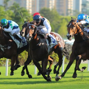 Luke Ferraris lifts Invincible Ibis (centre) to victory in the Celebration Cup. Photos: Kenneth Chan