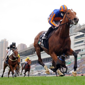 Live Hong Kong International Races Hk Racing South China Morning Post