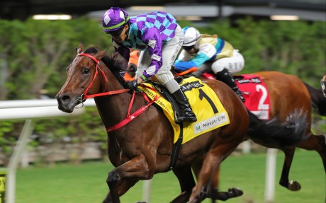 Regal Gem wins at Happy Valley in November. Photos: Kenneth Chan