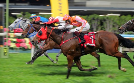 Kaholo Angel (far side) dead-heats with Helene Feeling (1). Photos: Kenneth Chan
