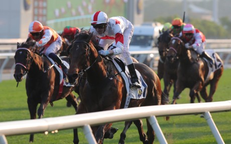 Magnifique returns with a strong win at Sha Tin under James Orman. Photos: Kenneth Chan