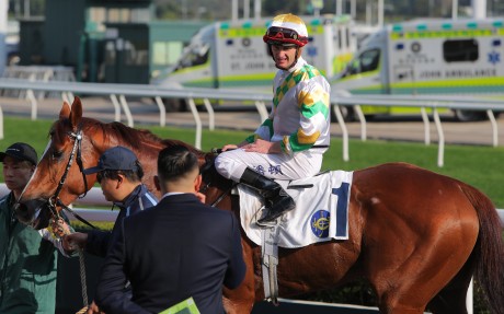 Zac Purton and Sagacious Life after their win this month. Photos: Kenneth Chan