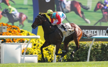 Ka Ying Rising cruises to victory under Zac Purton in the Group One Centenary Sprint Cup. Photos: Kenneth Chan