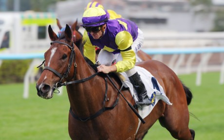Colourful King bolts in up the Sha Tin straight under Zac Purton in November. Photos: Kenneth Chan