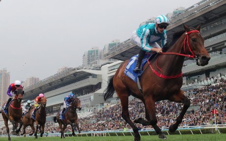 Romantic Warrior cruises home at Sha Tin. Photos: Kenneth Chan