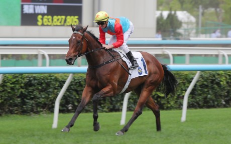 Ka Ying Rising, ridden by Zac Purton, wins the Group Two Sprint Cup at Sha Tin. Photos: Kenneth Chan.
