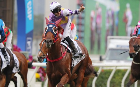Stormy Grove is one of four withdrawals from the QEII Cup. Photos: Kenneth Chan