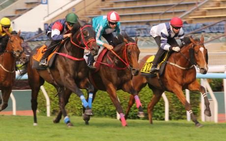 Romantic Warrior (centre), Numbers (left) and Rubylot (right) trial at Sha Tin. Photos: Kenneth Chan.