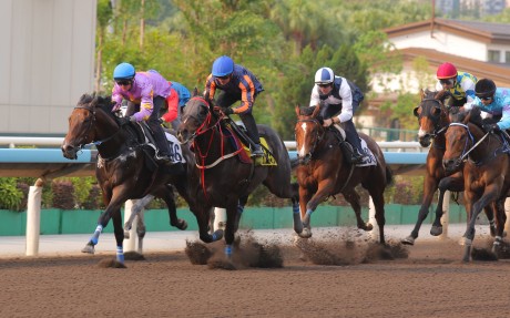 Little Paradise (inside) holds off Red Lion to win a Sha Tin trial on Thursday. Photos: Kenneth Chan