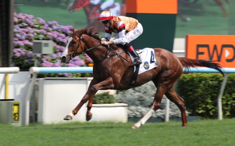 Geneva, ridden by Hugh Bowman, wins at Sha Tin. Photos: Kenneth Chan