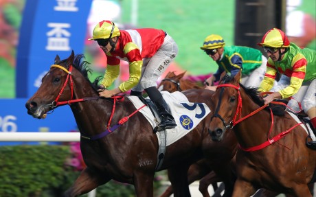 Emblazon, ridden by Jerry Chau, wins at Sha Tin. Photos: Kenneth Chan