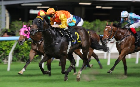 Armor Golden Eagle, ridden by Zac Purton, scores at Happy Valley. Photos: Kenneth Chan