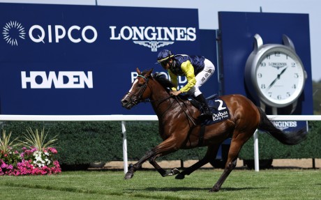 Jerry Chau Chun-lok guides Tuco Salamanca to success in the Shergar Cup Dash. Photo: Handout