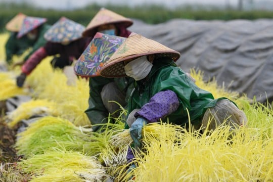 China’s wealth inequality has worsened in pandemic, Oxfam finds