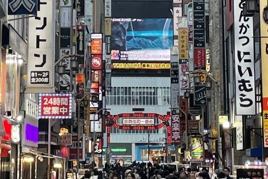 Japanese prefecture apologises for AI-generated tourist