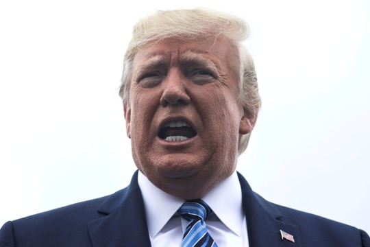 Trump wants to buy Greenland again for 'national security', Denmark says it's 'not for sale' | South China Morning Post