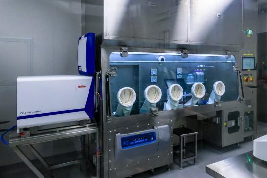 Hongkongers with spinal cord injuries may regain mobility with