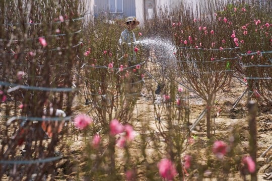 In pictures: first 100 days of Donald Trump's second presidency