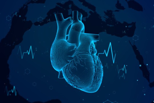 Chinese scientists grow heart's 'master conductor' that could replace pacemaker | South China Morning Post