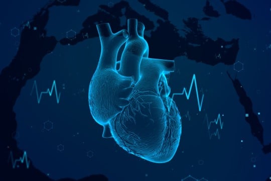 Chinese scientists grow heart's 'master conductor' that could replace pacemaker | South China Morning Post