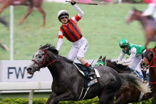 ビジネス・経済 HIT WIN VICTORY II OF HORSE RACE Japan's Win Bright ambushes QE II Cup and trainer outlines plans