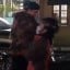 Two white men punched an Asian delivery rider on July 4, in Adelaide, Australia. Photo: Facebook Two white men punched an Asian delivery rider on July 4, in Adelaide, Australia. Photo: Facebook