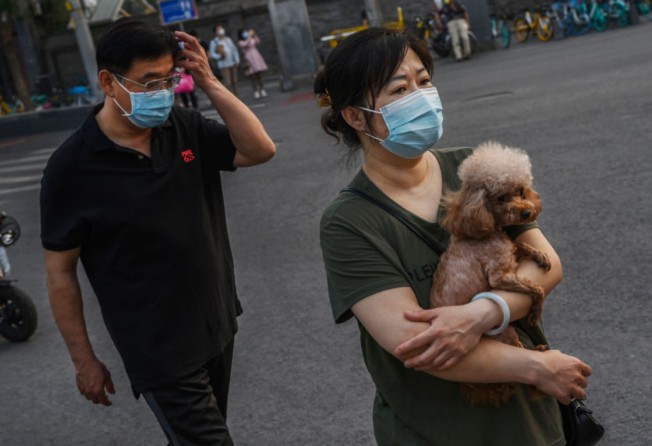 A woman carries her pet dog along a street in Beijing. Photo: Getty Images