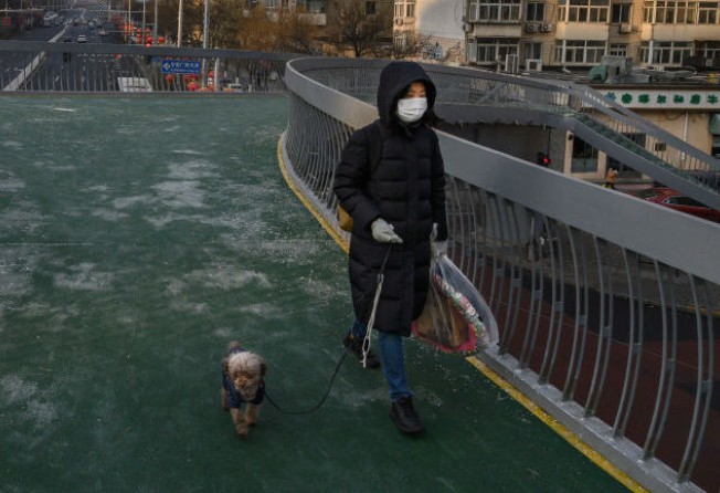 A pet-owner walks her dog across a footbridge in a residential neighbourhood in Beijing. Photo: Getty Images