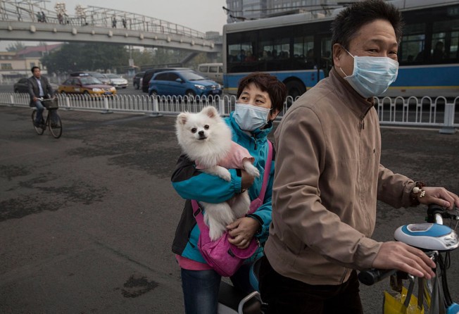 A woman carries her dog as she and her husband go for a walk in Beijing. Photo: Getty Images