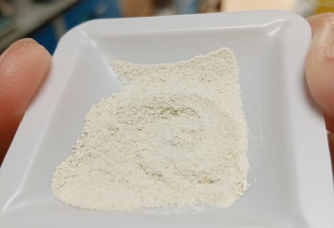 Microalgae protein concentrate made by Singaporean company Sophie’s Bionutrients. Photo: Sophie’s Bionutrients