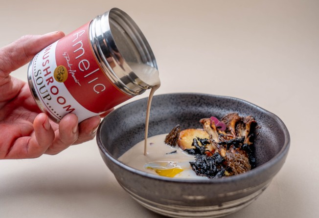 4 art basel inspired hong kong restaurant promotions try edible takes on damien hirst s famous formaldehyde shark and andy warhol s campbell s soup cans at amelia hong kong south china morning post
