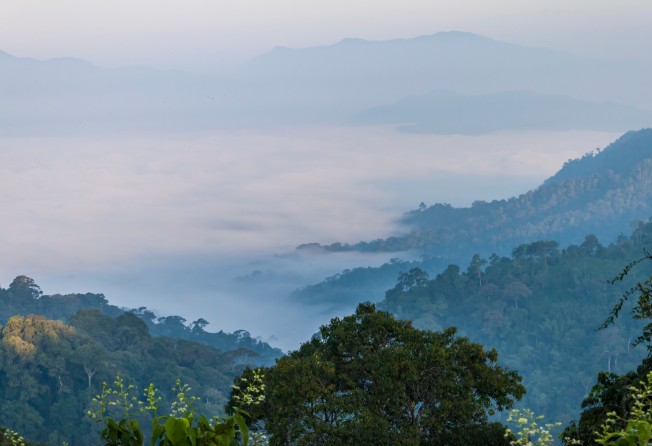 Morning fog in Kaeng Krachan National Park, Phetchaburi province, Thailand. Photo: Shutterstock