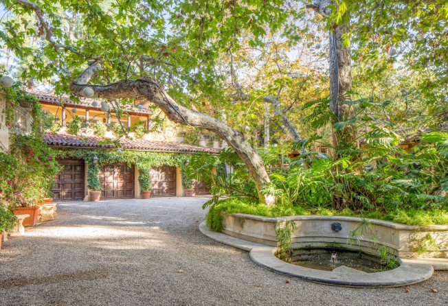 Lush, leafy surroundings envelop the house. Photo: Anthony Barcelo
