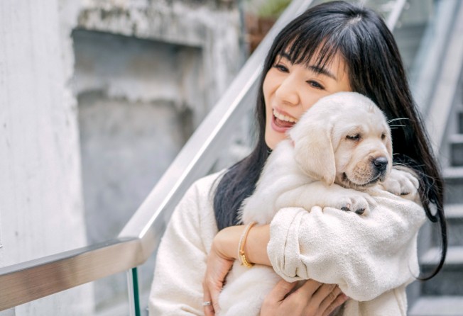Yeung in the 2019 Hong Kong movie Little Q, which explores human relationships with guide dogs for the blind.