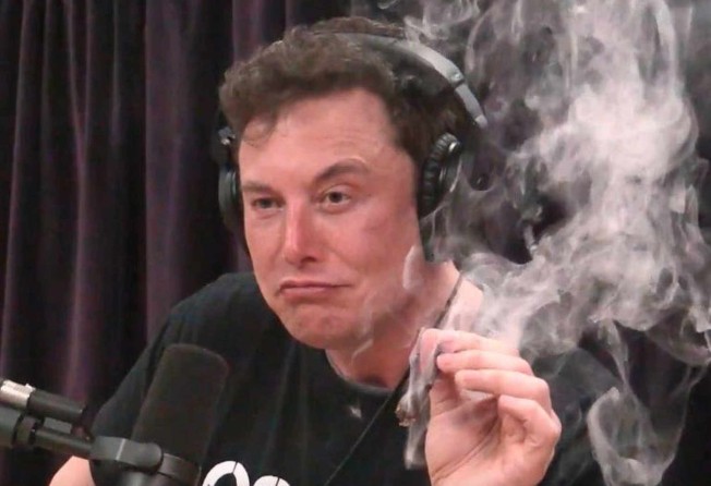 Elon Musk once made a 420 joke on Twitter to amuse Grimes. Photo: YouTube
