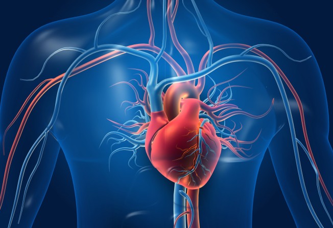 Health care providers can order many types of heart tests for their patients. Photo: Shutterstock