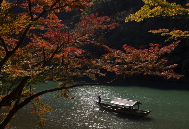 A sightseeing boat carries tourists to observe the autumn foliage along the Oi River at Arashiyama, Kyoto, Japan. Photo: Buddhika Weerasinghe/Getty Images