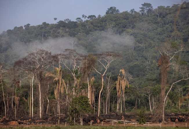 Deforestation is seen in an environmentally protected area near Sao Felix do Xingu, Para state, Brazil, in October. Photo: Bloomberg