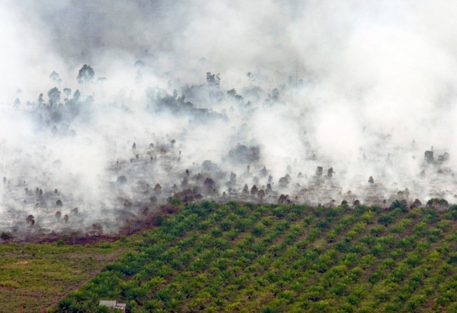 A forest fire is seen near a palm oil plantation at Tanah Putih district in Rokan Hilir, Indonesia’s Riau province, in February 2017. Photo: Antara Foto via Reuters